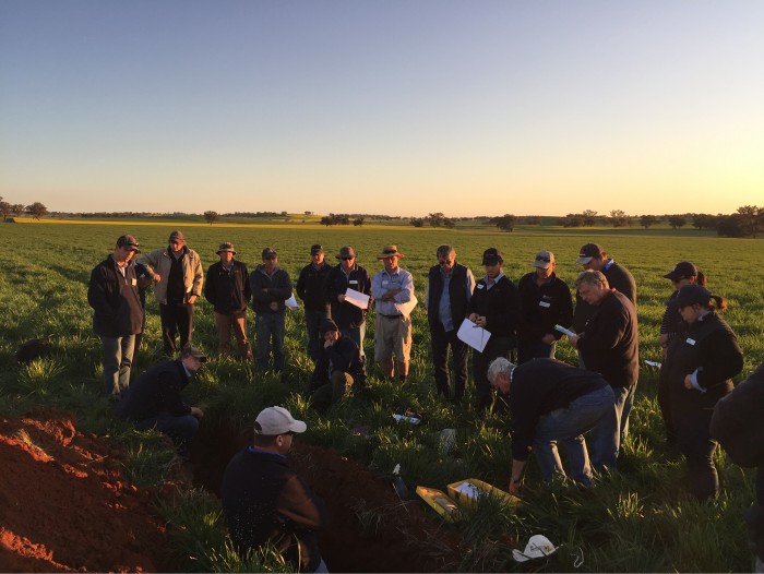 SKN_wellington workshop_August_2015-a