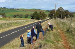 Soils in the field