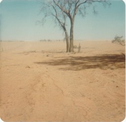 NSWSKN_soils and drought